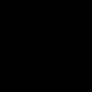 Meet your Posher, Drew